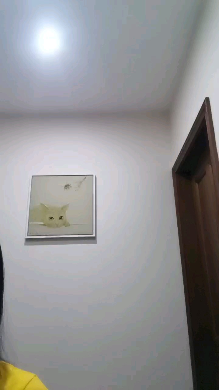 请大家多多关照哦～～