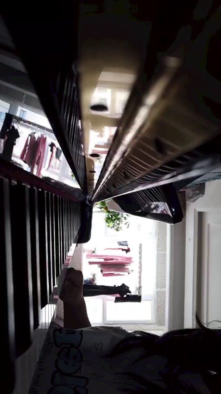 梦中的婚礼