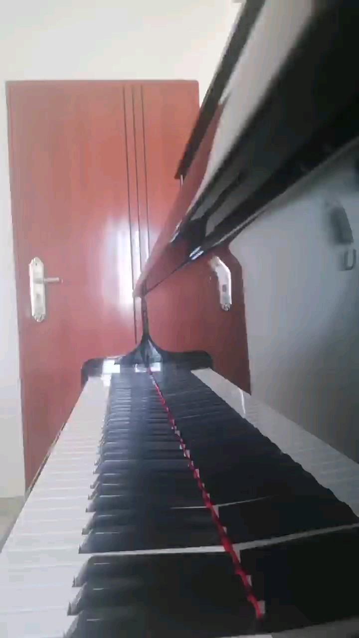 卡农各种版本弱智演奏