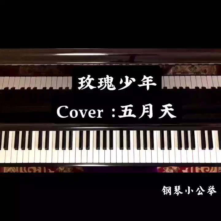 R1SE-玫瑰少年 钢琴完美还原【然韵音乐编配】