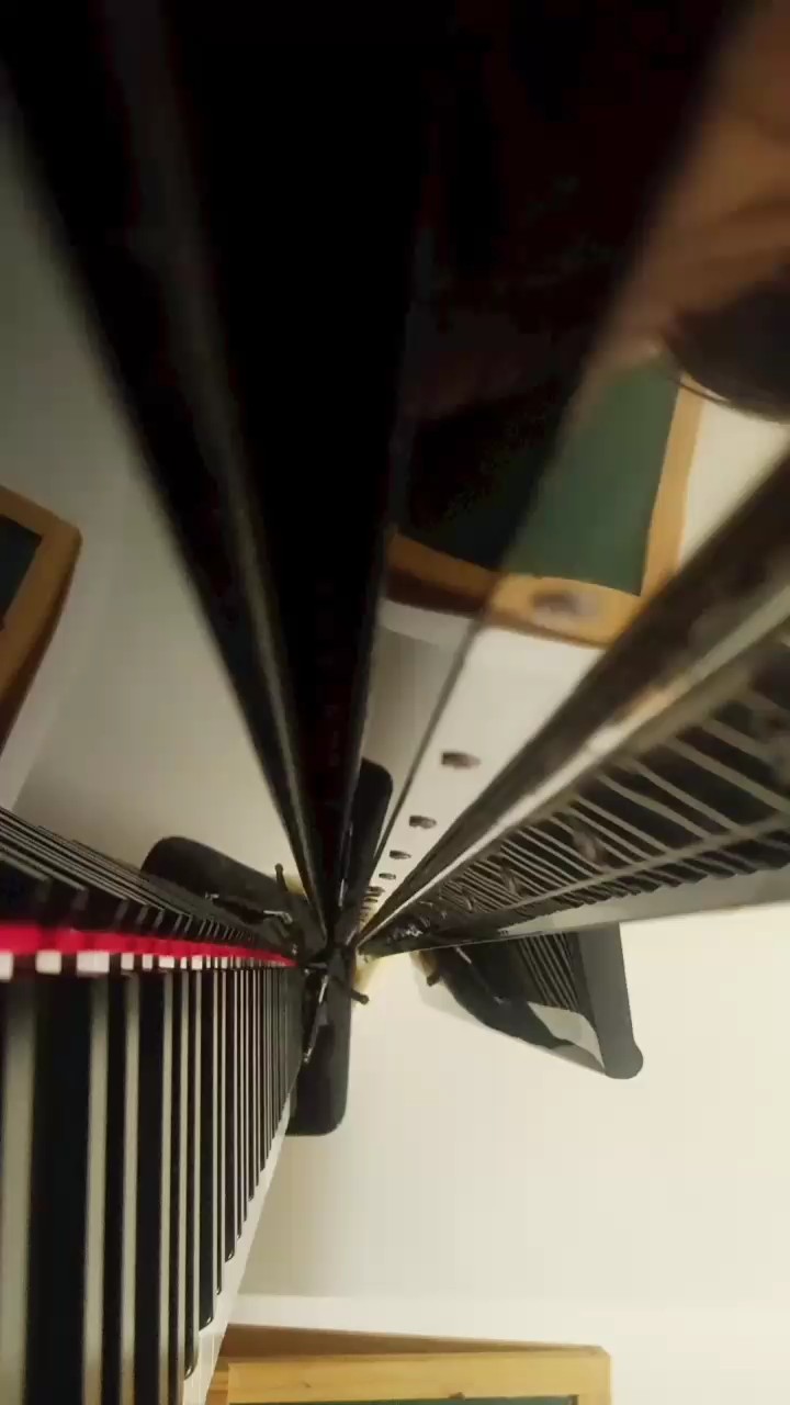 由于没钱，所以自己编了一小段会不会的谱。