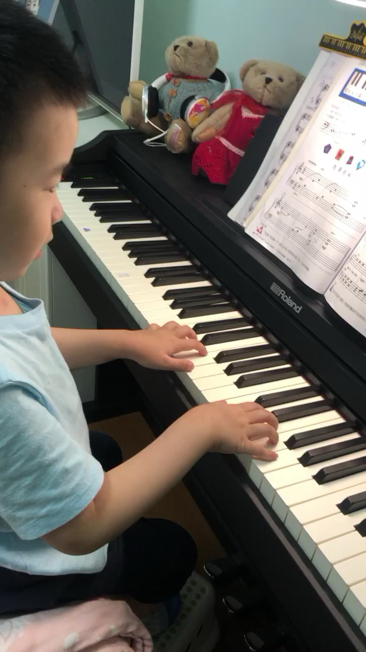 盛大的庆祝《菲伯尔钢琴基础教程 第1级 技巧和演奏》