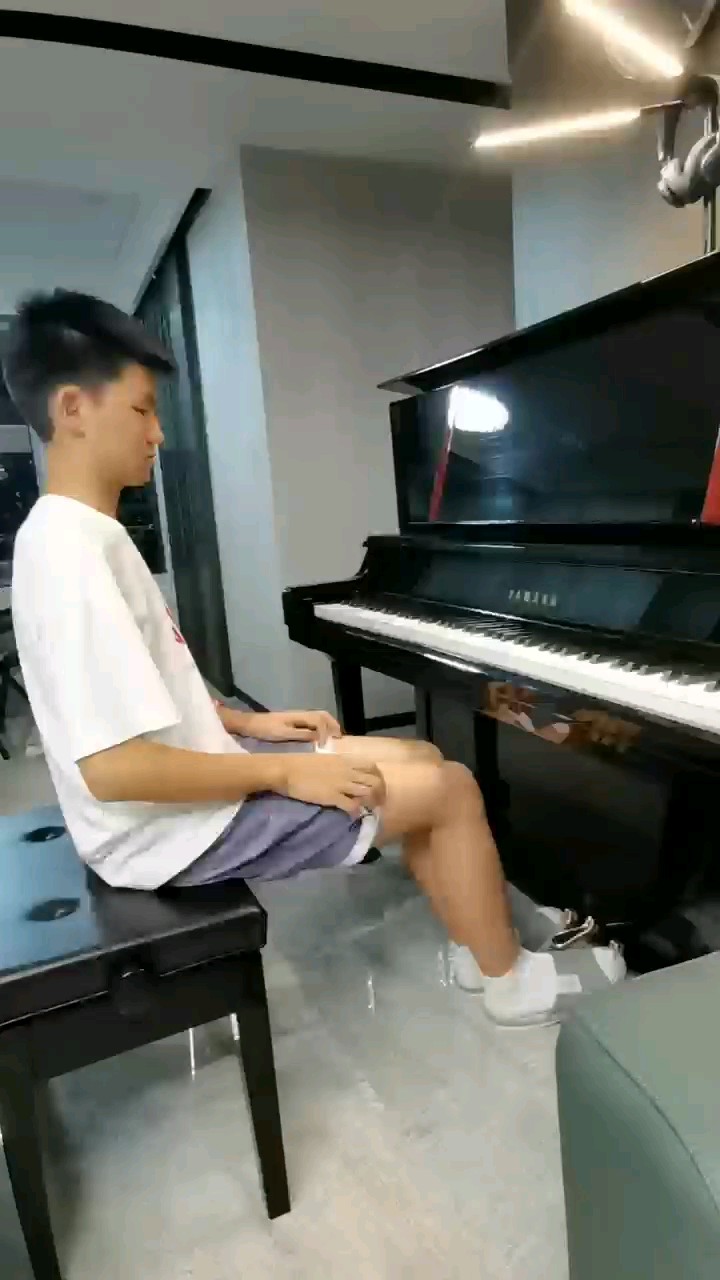 《皮黄》