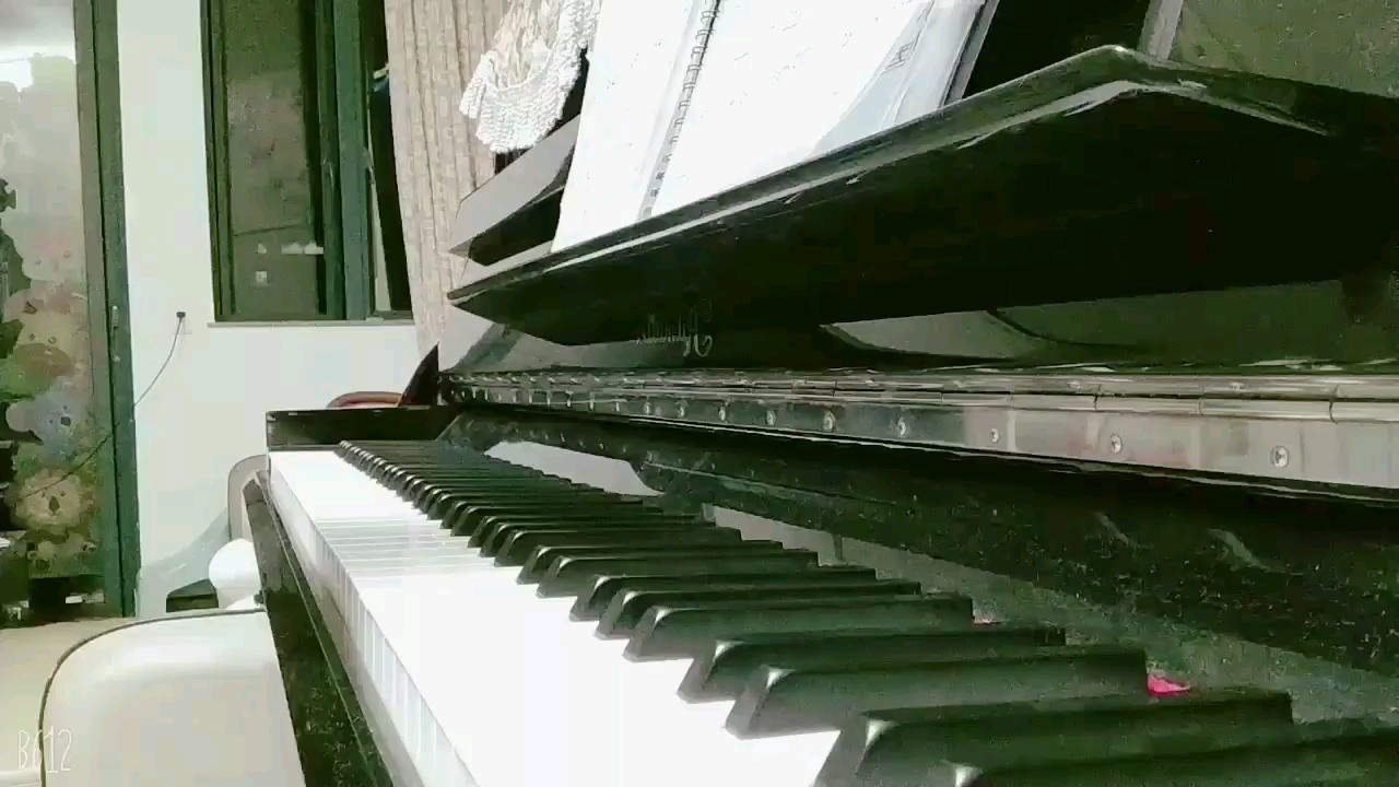初来乍到，请多指教