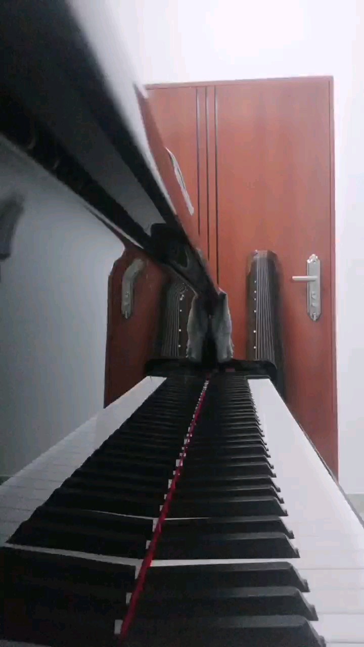 土耳其进行曲