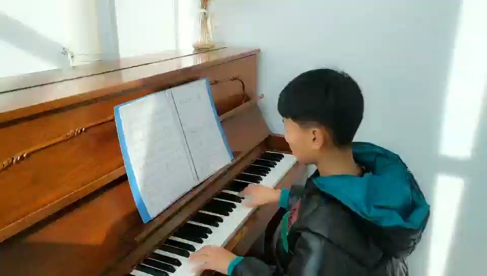 献给爱丽丝-贝多芬-简易大音符版