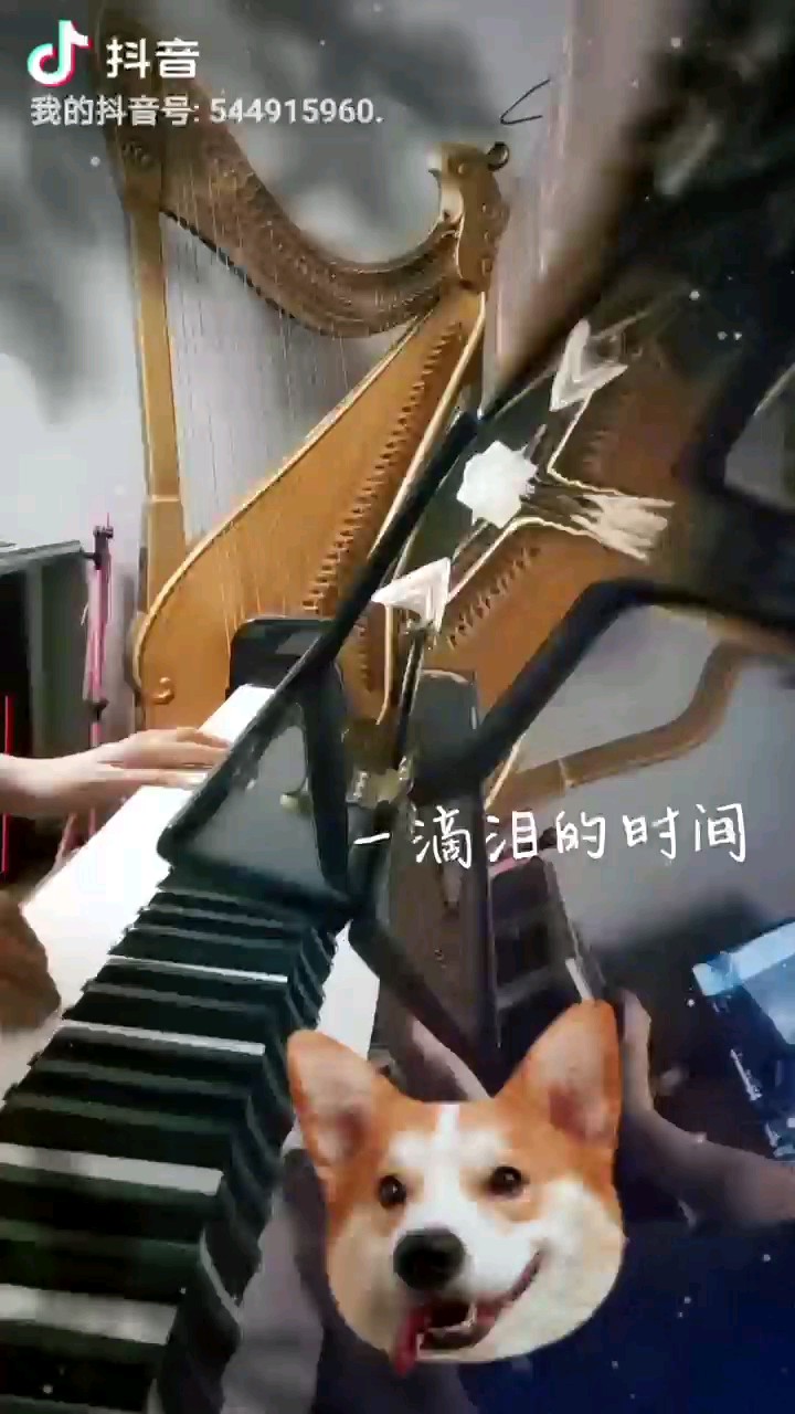 鋼琴小白