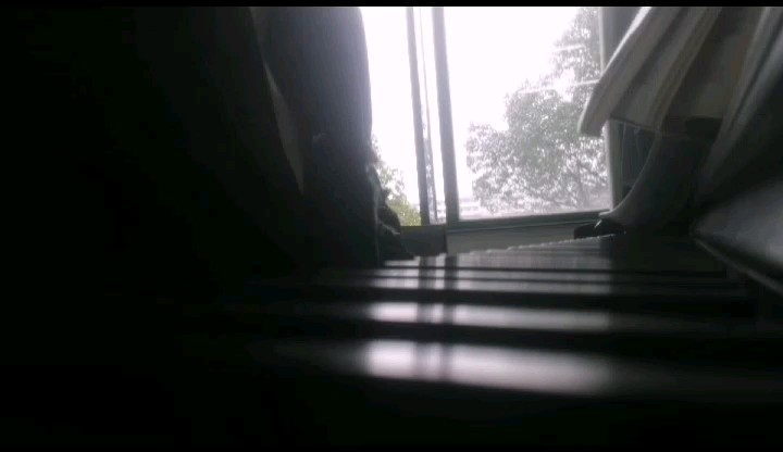 莱蒙