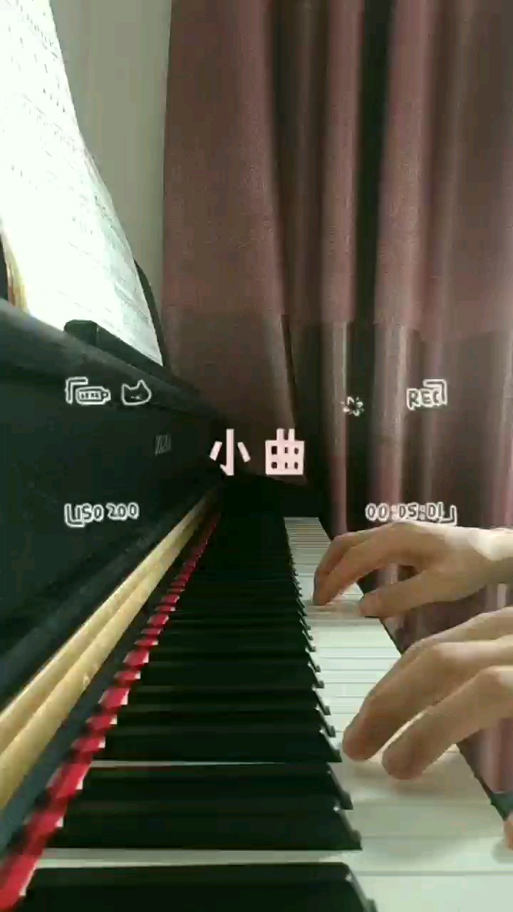 一个好好的四手联弹 愣是让我一个人弹完了😂