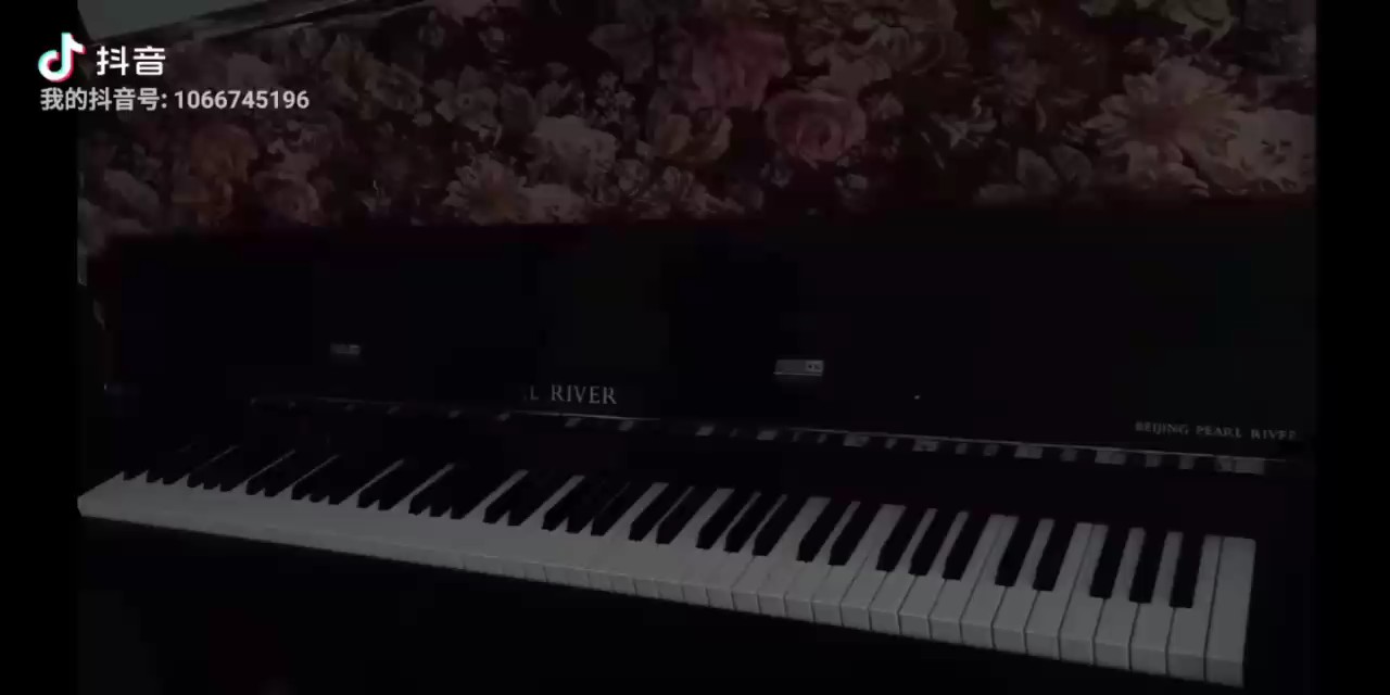 撒野-金老师钢琴独奏谱200207