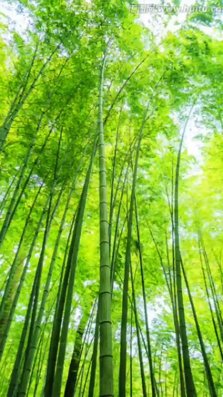 江南名曲，优美动听。