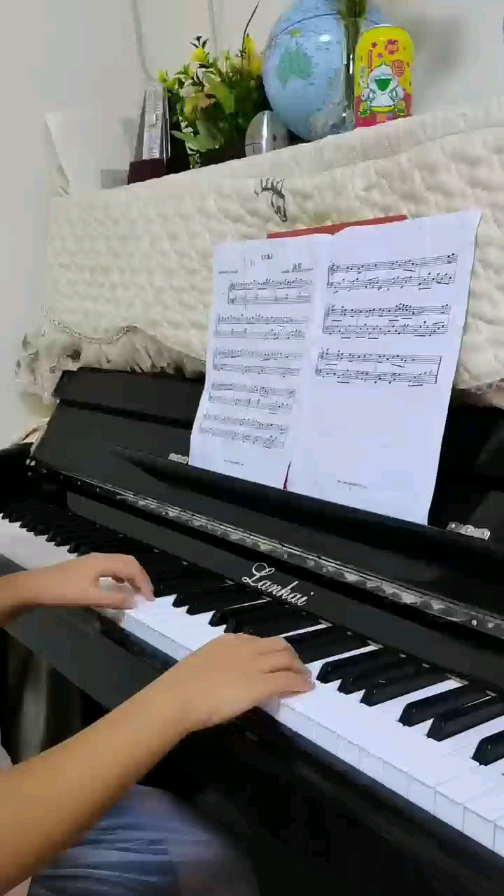 大鱼-周深 C调简易版