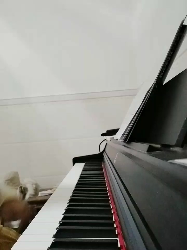 醒不来的梦