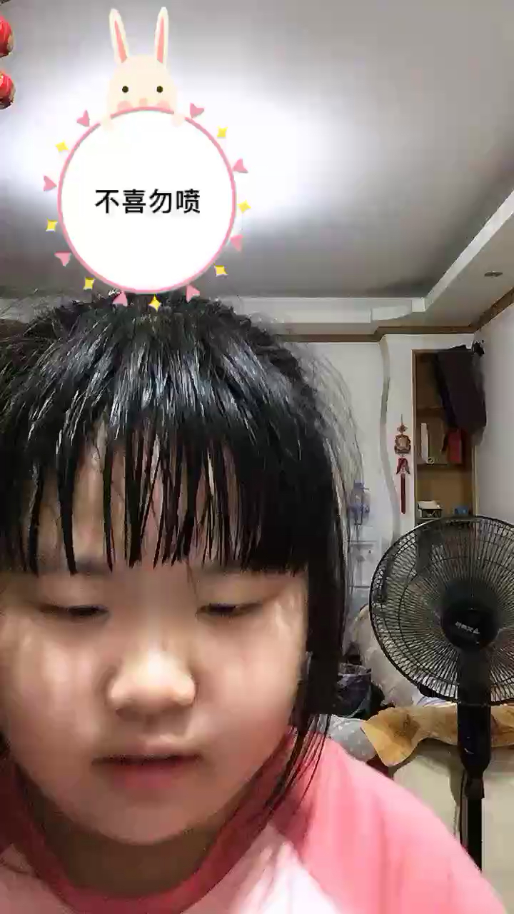 克罗地亚狂想曲