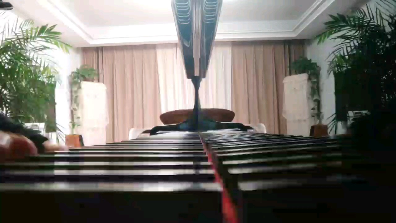 肖邦英雄波兰舞曲片段