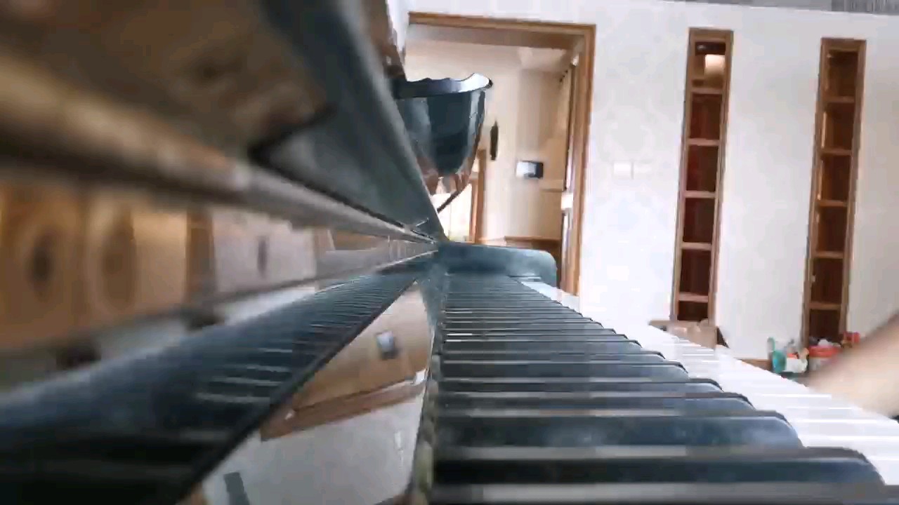 怕你飞远去，怕你离我而去，更怕你永远停留在这里