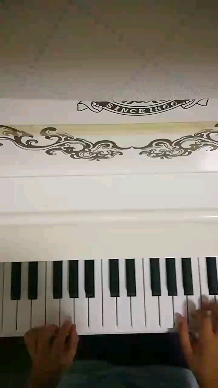 Astronomia(黑人抬棺BGM)-C调简易