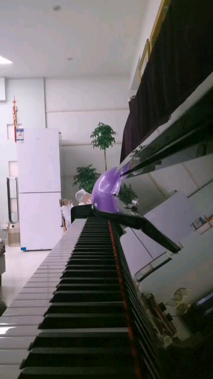 才考完八级(〜￣▽￣)〜
