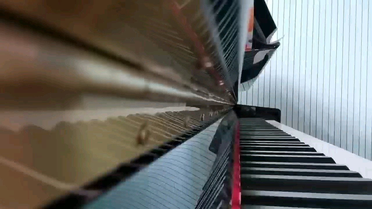 骄傲 王源 独奏版 原调 C调