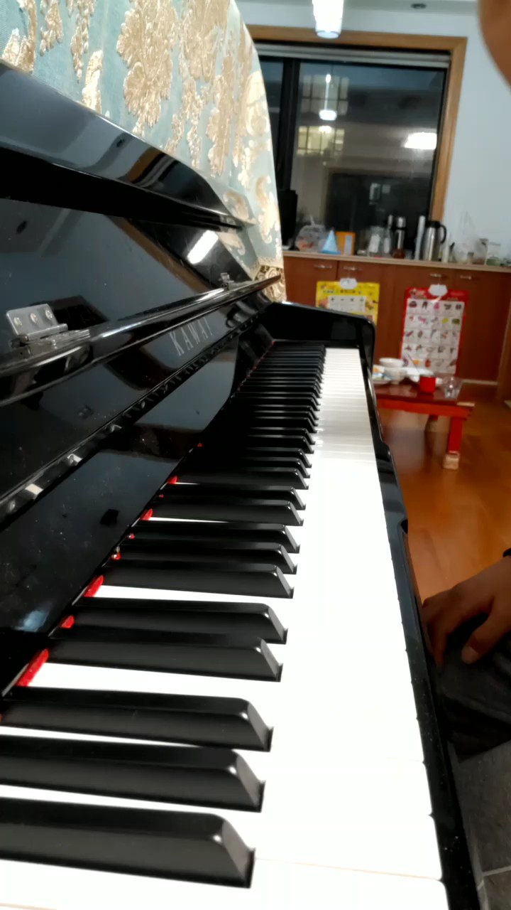 关于一个六年级小学生的千本樱