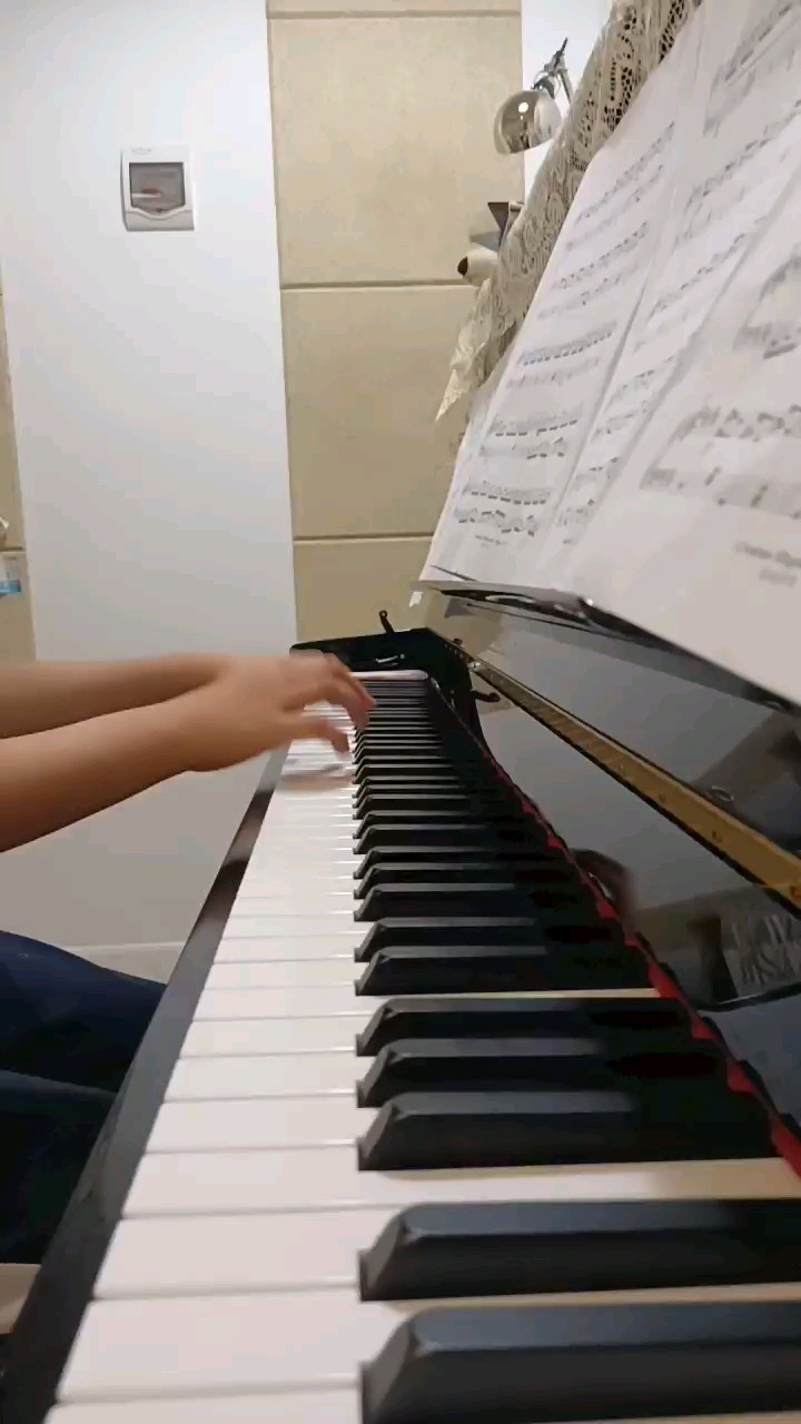 Croatian Rhapsody -Maksim Mrvica9（克罗地亚狂想曲）