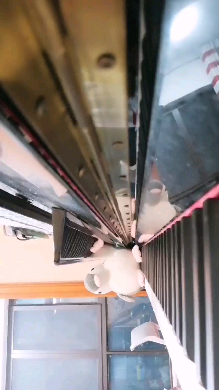 梦中的婚礼（原版+指法）