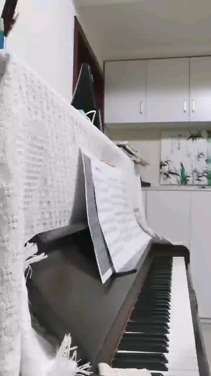 每天与黑白键倾述，心如止水。