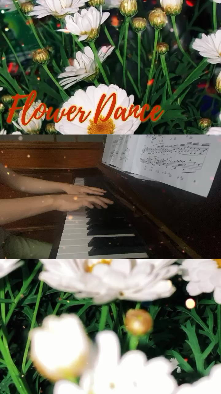 Flower Dance【原版】-Dj Okawari（花之舞）