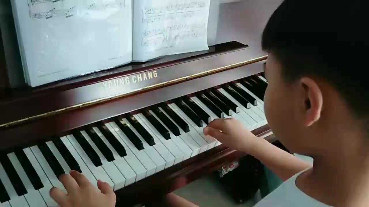 日常练习【四小天鹅舞曲】