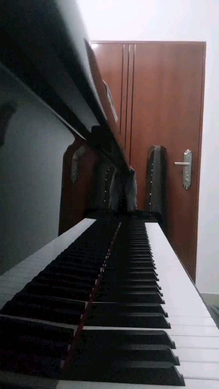 夜莺