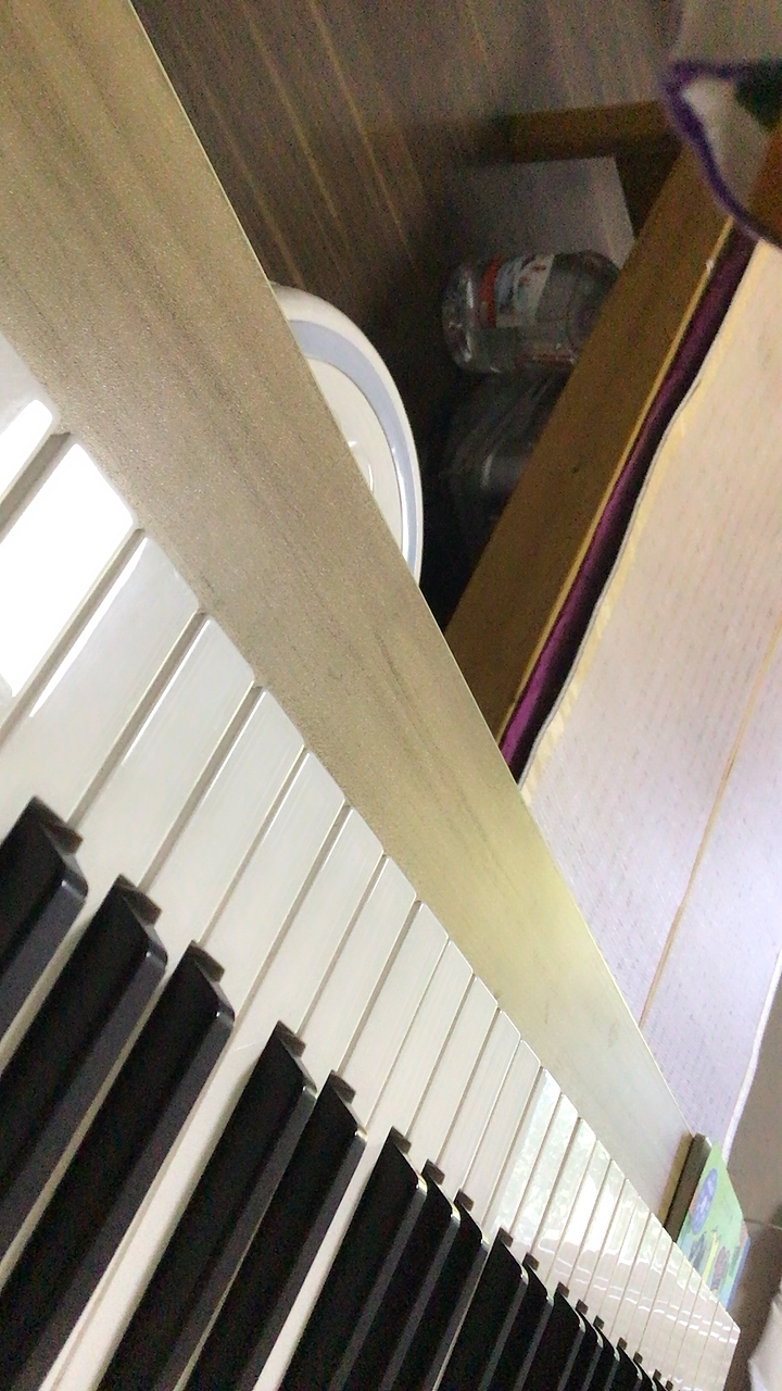 沒有上過專門的鋼琴班，我在家里自學了一首。