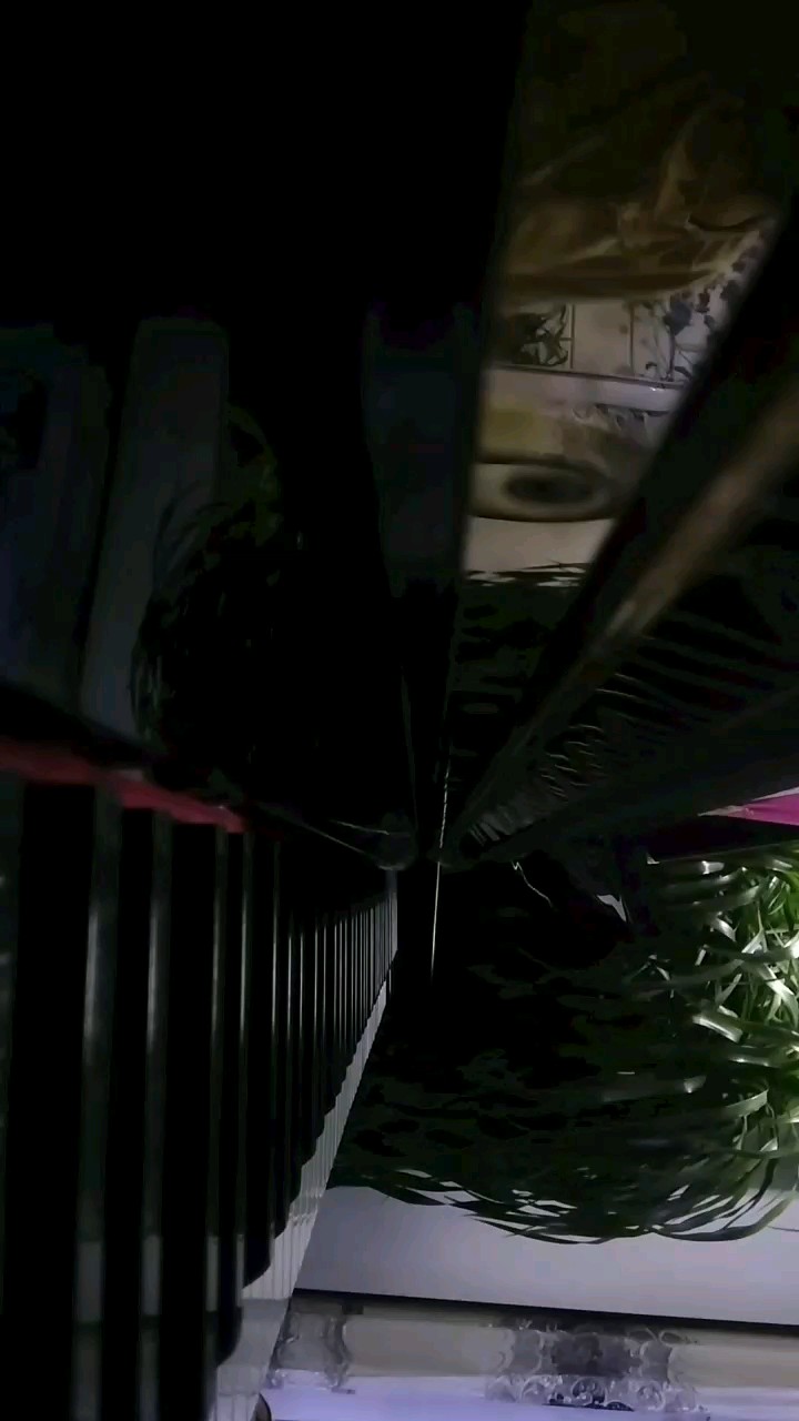 醉里挑灯看剑……