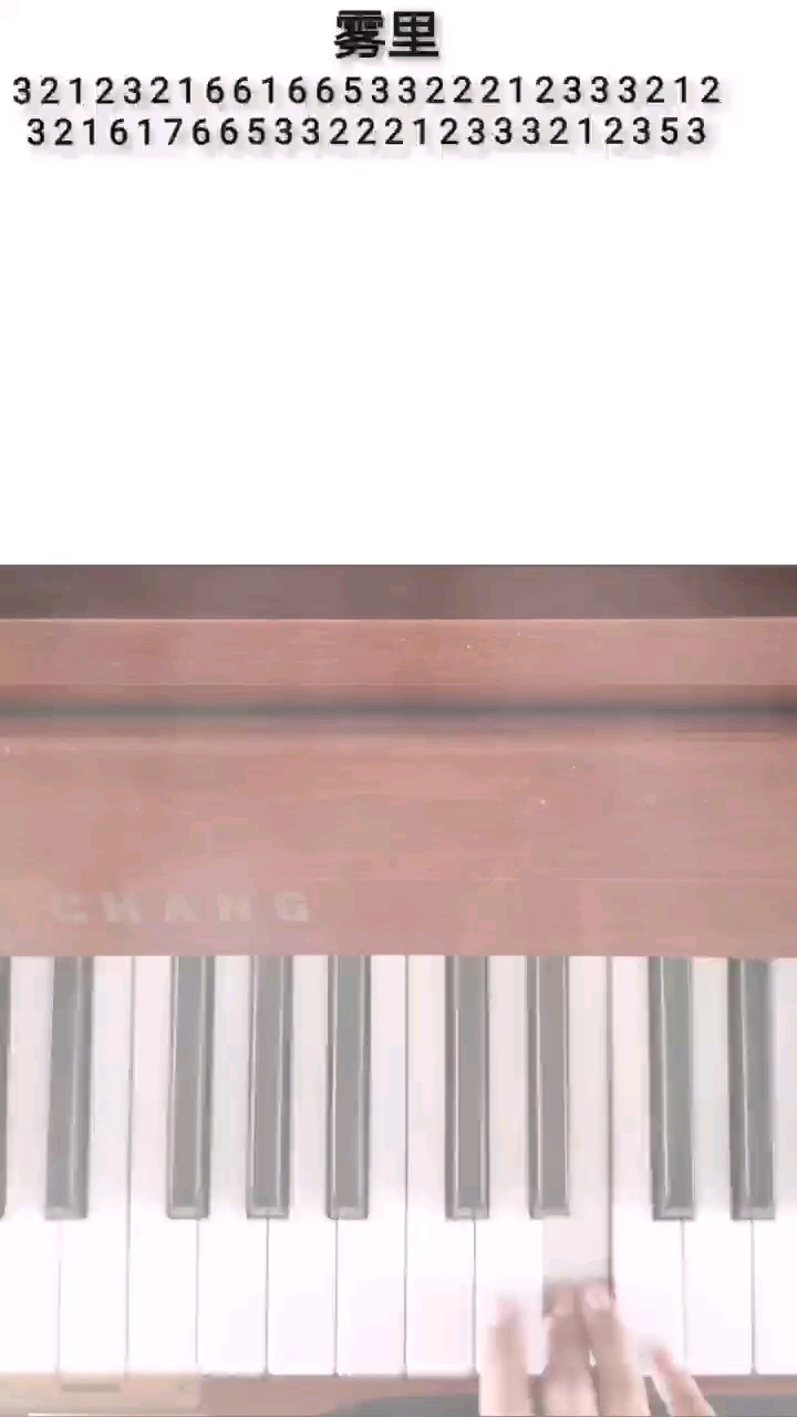 视频不易，点个赞吧