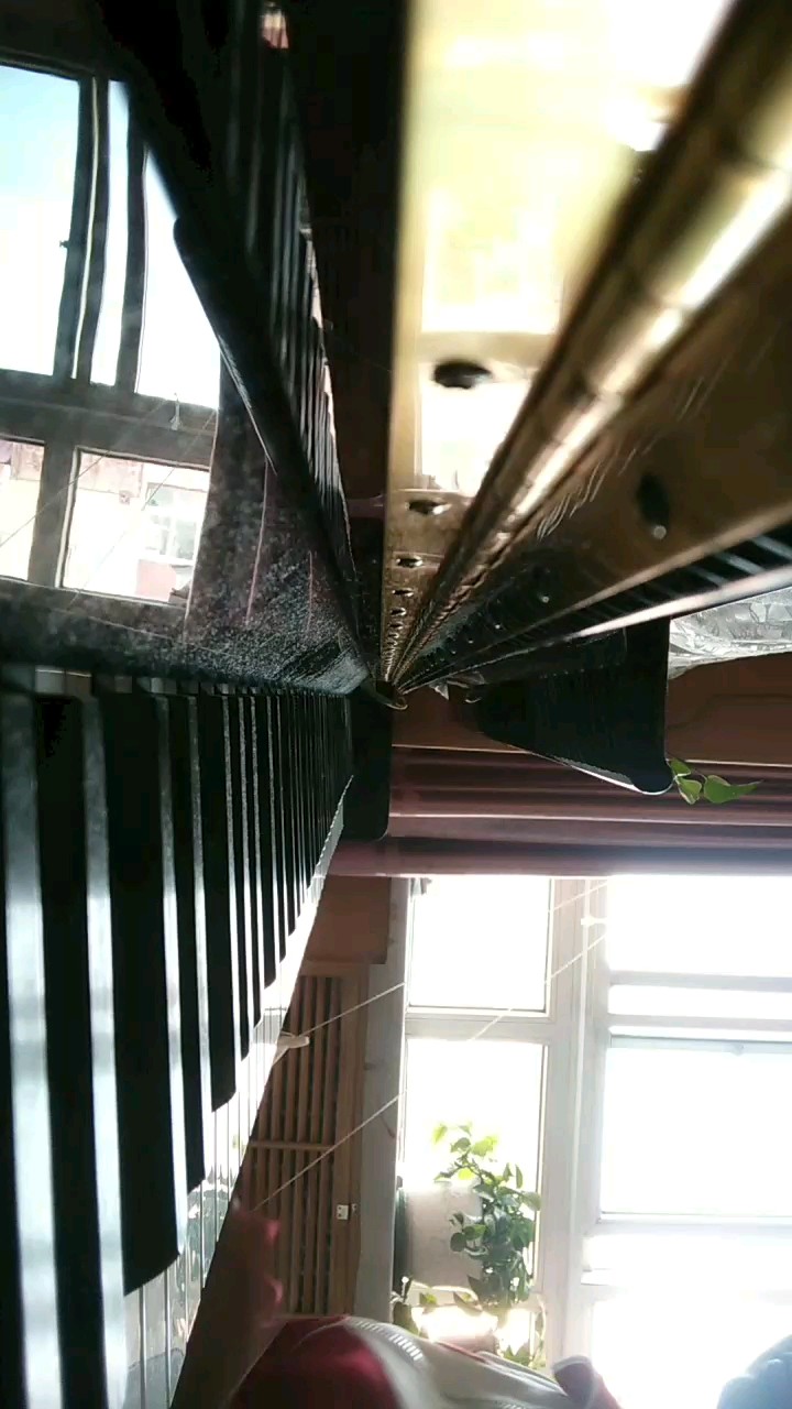 好久没弹琴了(๑>؂<๑）