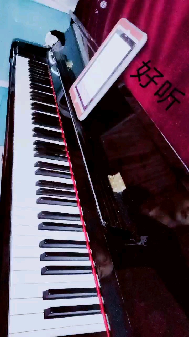 Swagger简易版（溯Reverse）