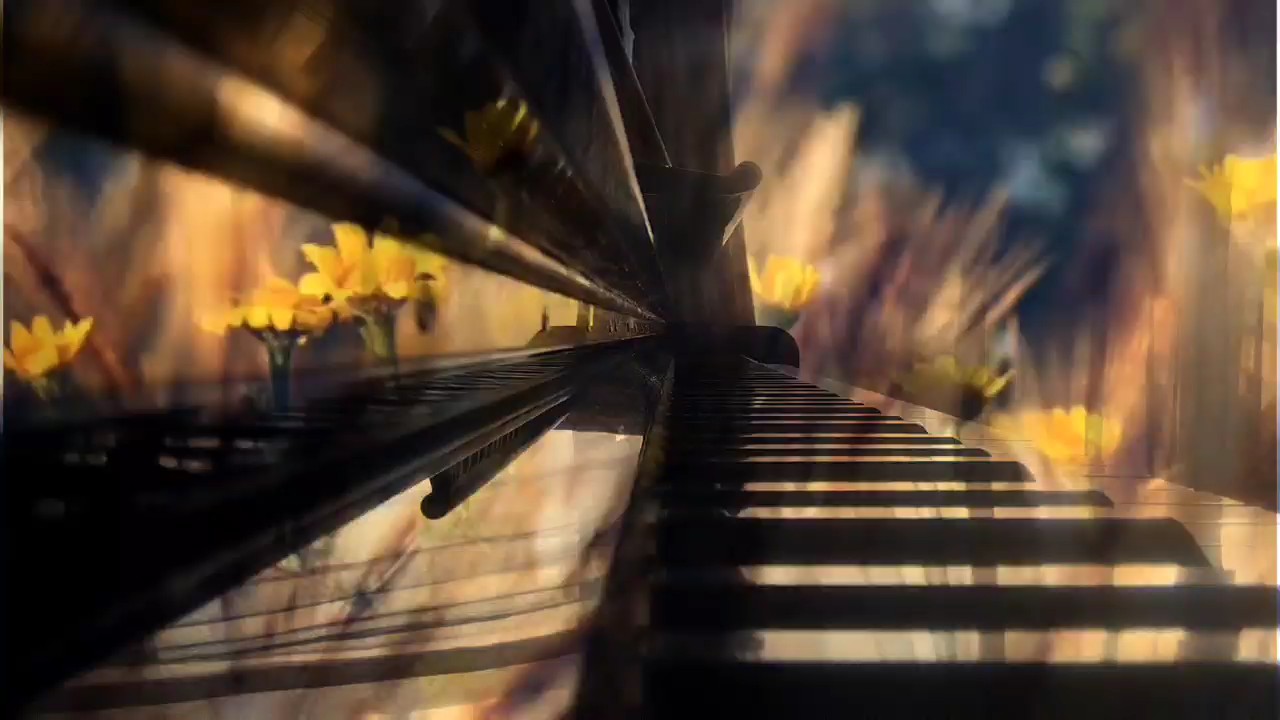 不一样的前世今生💫
