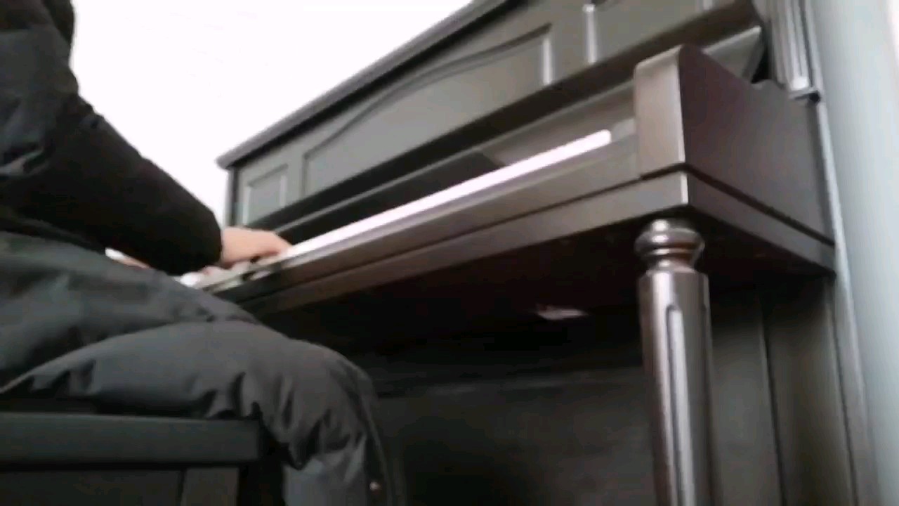 冬天的第一首曲子，好想把你画成花…