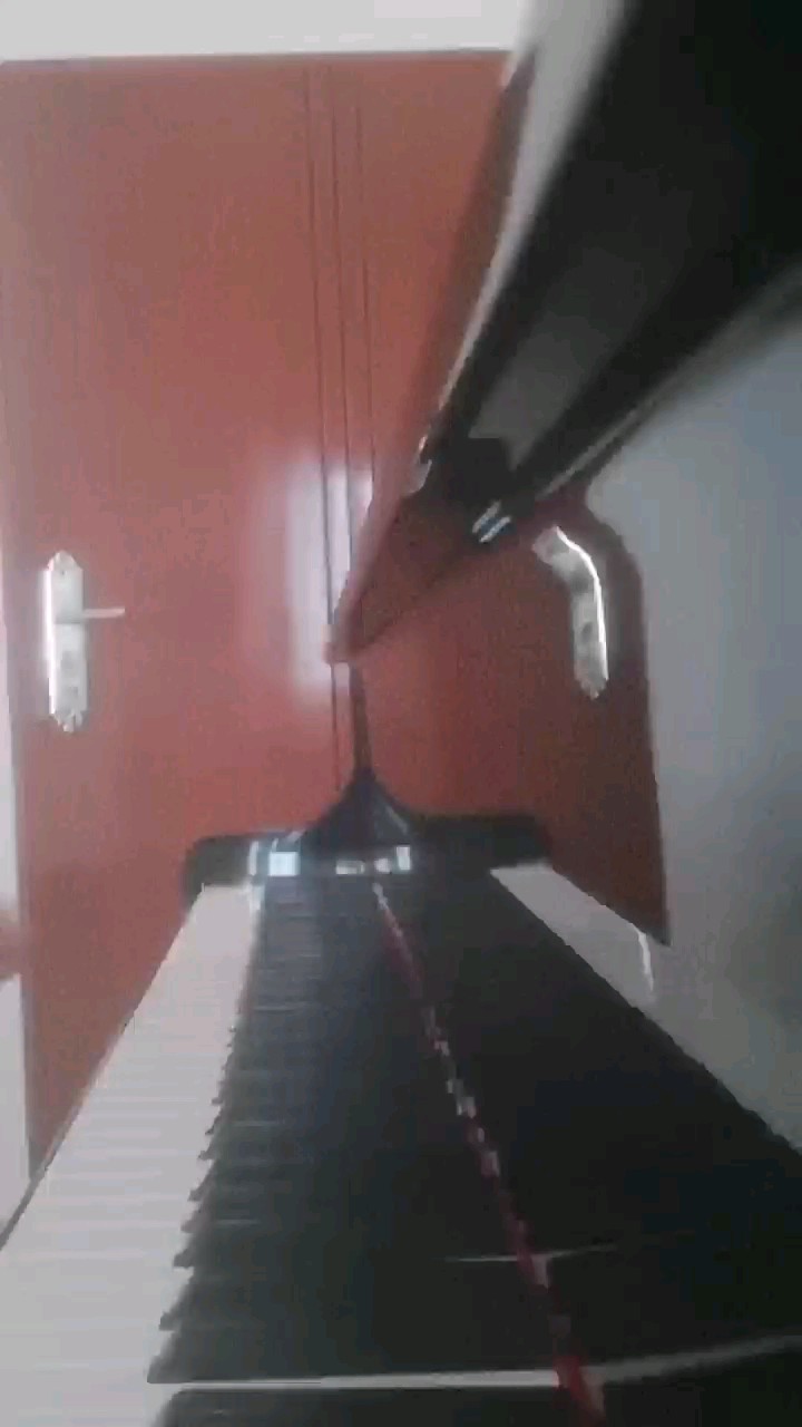 用太多流行音乐活人来献祭练习轮指应该是音乐学院教育的一部分吧
