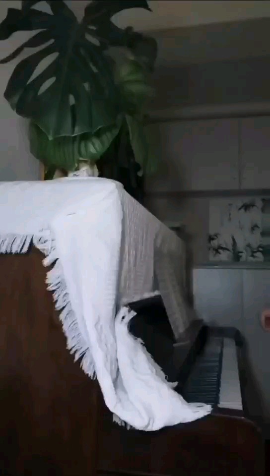 喜欢很久很久的曲子，在多个版本之中选择自己喜欢的段落拼在一起弹了一小段。