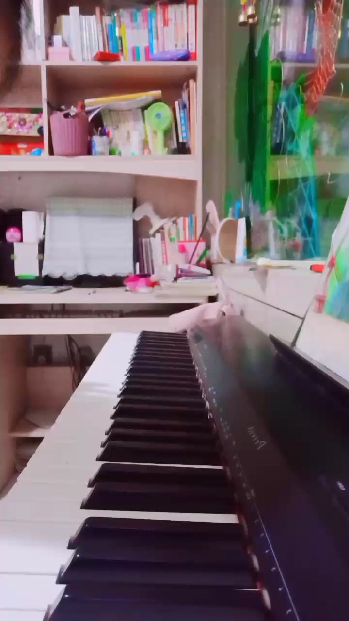 所念皆星河 C调易弹版（dylanf编配）