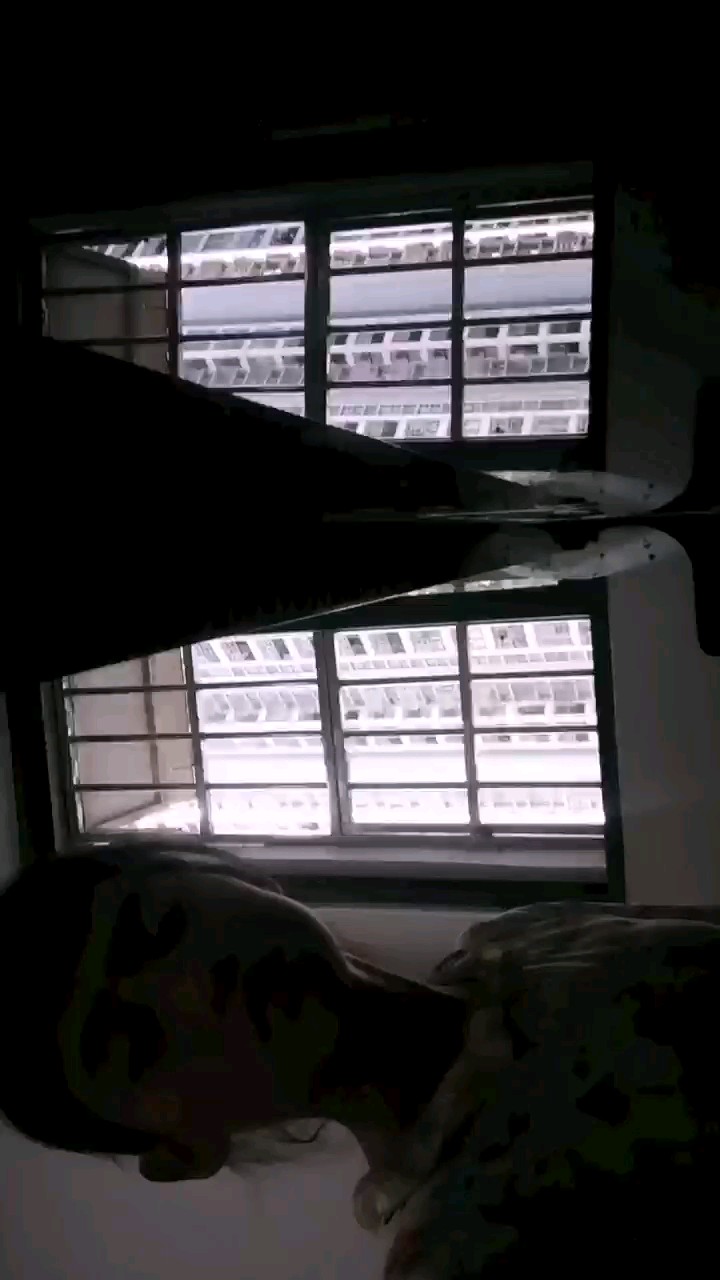 好不容易弹完*罒▽罒*