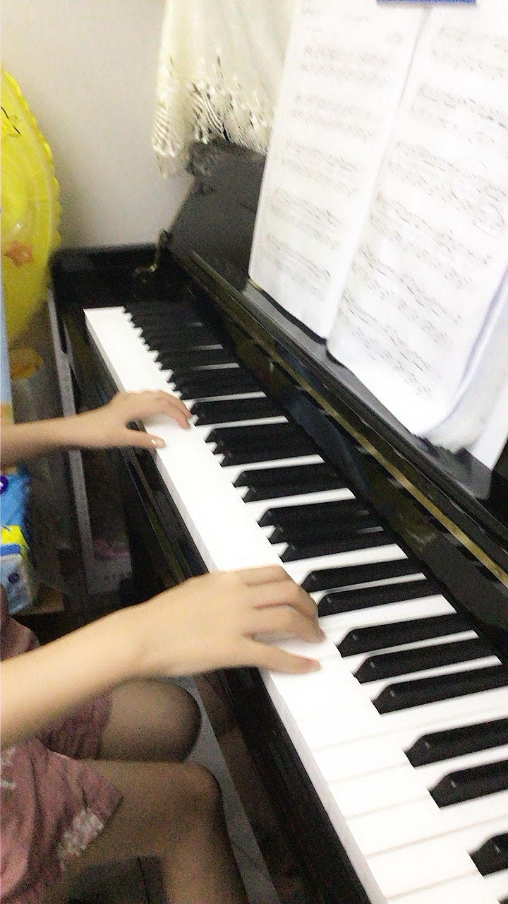 白月光与朱砂痣 - 完美C调简单版