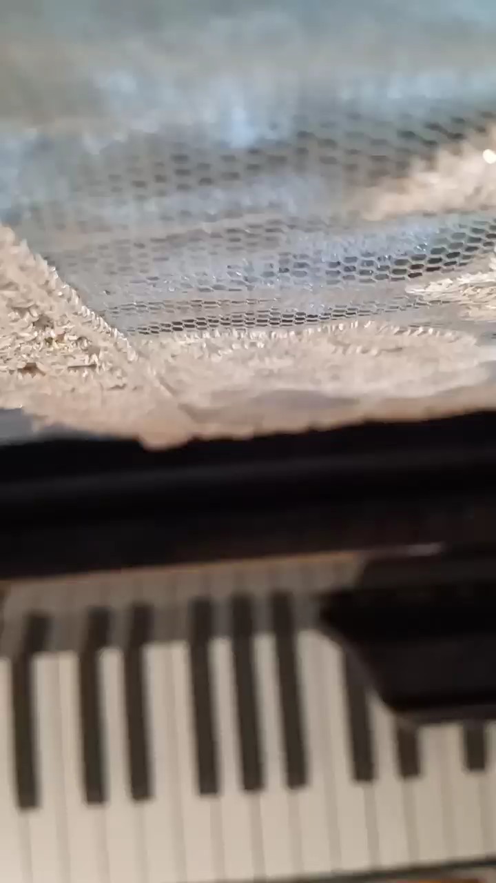听第一遍就爱上的前奏