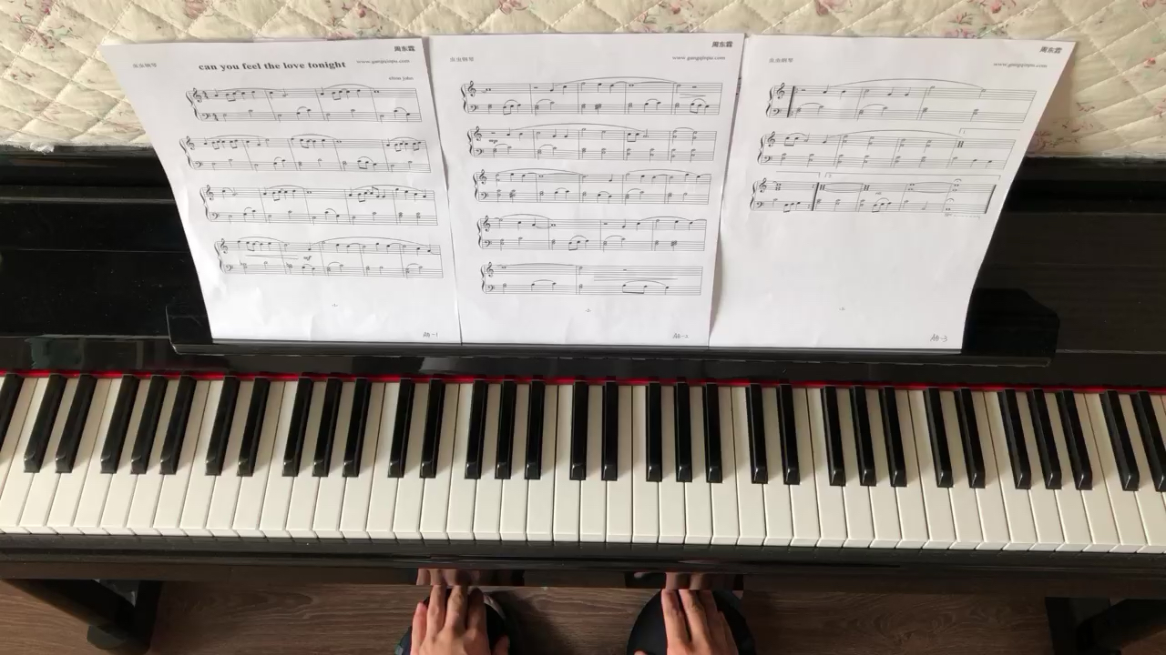 《狮子王主题曲》大家可以关注我，了解我的其它作品！大家也可以到APP“完美钢琴”上找到我。