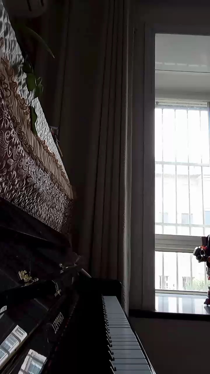 夢中的婚禮