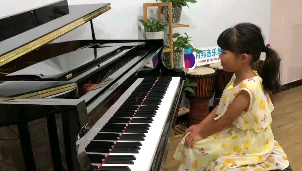 小白菜