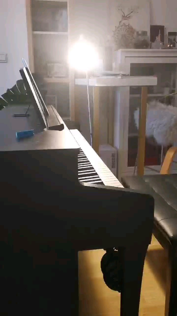 丢了二十年的钢琴勉强捡了起来