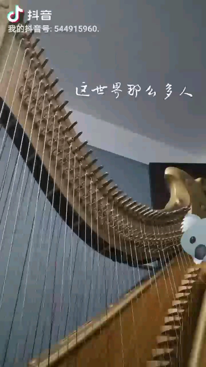 箜篌版《這世界那么多人》