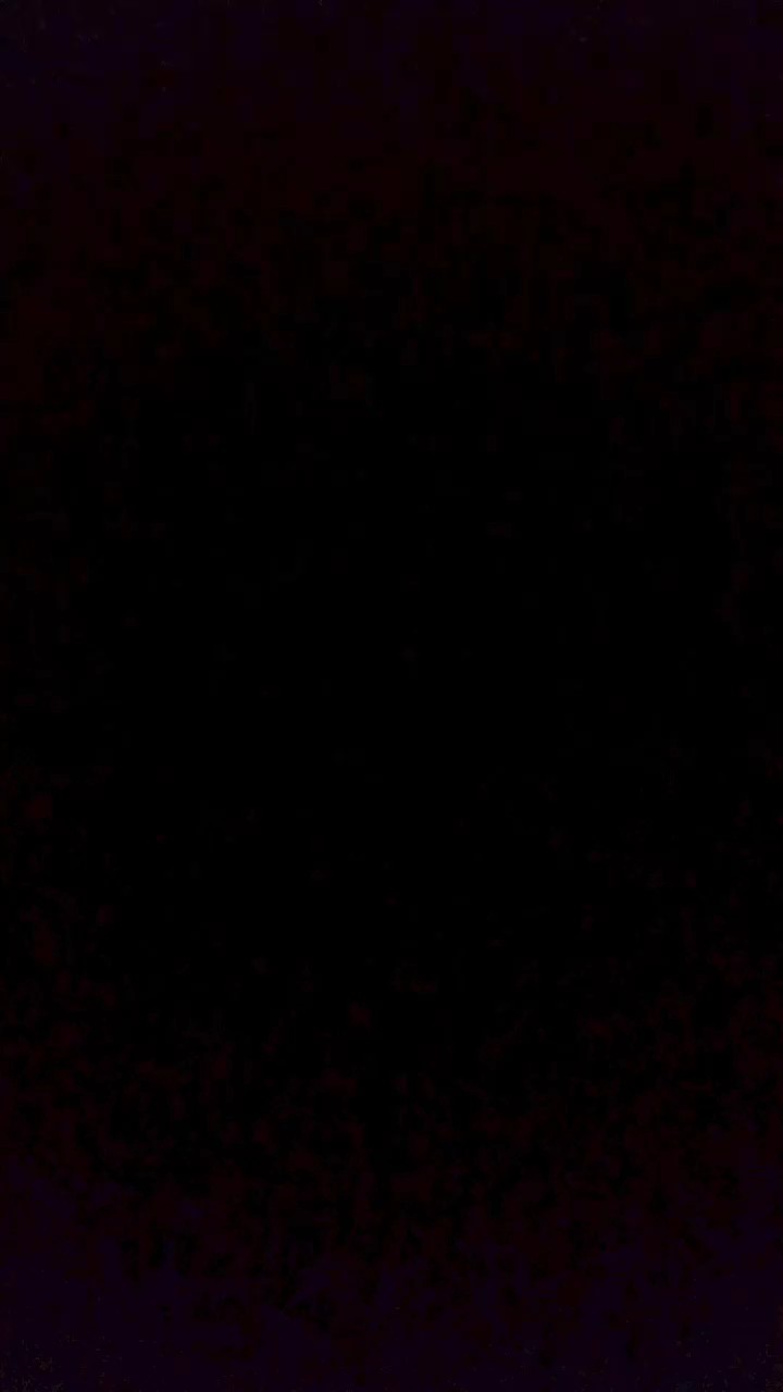 献给爱丽丝--贝多芬--简易C大调