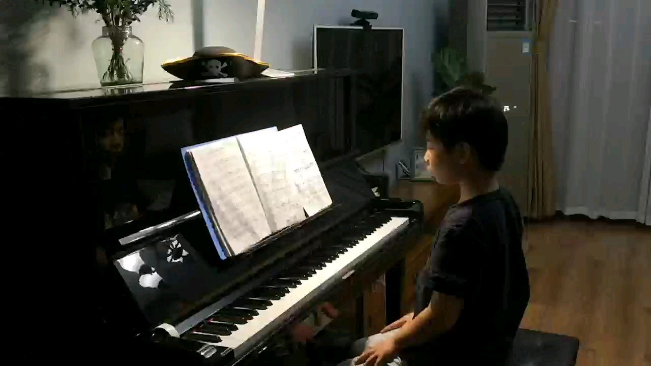 很喜欢这首曲子!